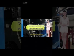 高効率で省エネの使い捨てプラスチックプレートとカップを作る機械