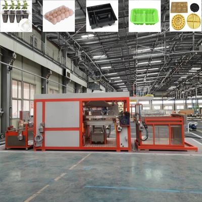 完全に自動的なプラスチック真空形作機 プラスチック製の卵皿機